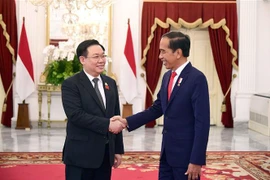 Vietnam atesora asociación estratégica con Indonesia, afirma presidente parlamentario