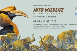 Exposición sobre vida silvestre en Binh Dinh envía mensaje de protección ambiental