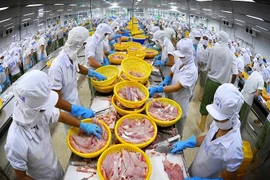 Vietnam necesita construcción de marca para ventas al mercado de CPTPP
