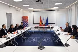 Localidades vietnamitas extienden la alfombra roja a las empresas francesas