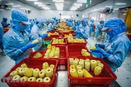 Fuerte aumento de las exportaciones vietnamitas a Estados Unidos en febrero de 2023