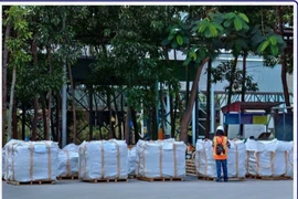 Empresa vietnamita por exportar primer lote de cemento al mercado estadounidense