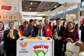 Empresas vietnamitas buscan oportunidades en Fruit Logistica 2023