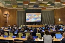 Vietnam apoya ampliación del Consejo de Seguridad de ONU