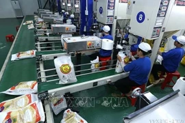 Vietnam garantiza seguridad alimentaria bajo cualquier circunstancia