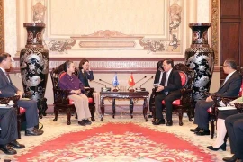 Ciudad Ho Chi Minh desea recibir experiencias de ONU en transición energética