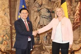 Vietnam y Bélgica disfrutan de fructíferos vínculos de 50 años