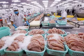 Exportación de productos acuáticos de Vietnam registra señales positivas