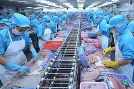 Vietnam-Malasia: Dos economías similares y complementarias