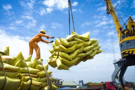 Vietnam se esfuerza por repuntar exportaciones en segunda mitad del año