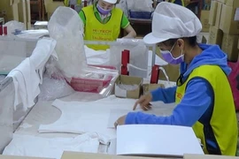 Gobierno de Laos por resolver dificultades económicas
