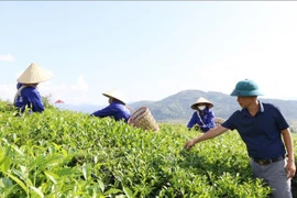 Tasa de pobreza multidimensional baja al 2,93%