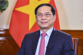 Abogan por promover la identidad diplomática del "bambú vietnamita"