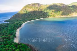 Buscan convertir a isla de Con Dao en zona ecoturística de clase internacional