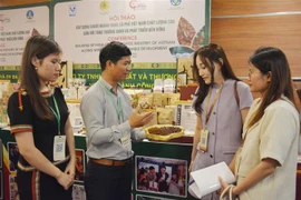 Vietnam por crear cadena de valor del café de alta calidad