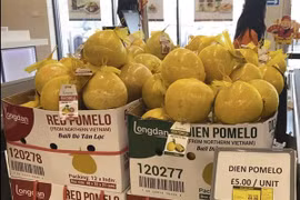 Pomelos vietnamitas a la venta en el mercado británico