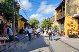 Dos urbes vietnamitas se unen a la Red de Ciudades Creativas de la UNESCO