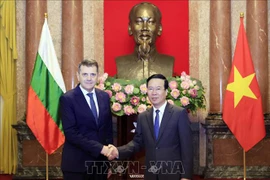 Presidente vietnamita recibe a nuevos embajadores