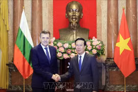 Presidente vietnamita recibe a nuevos embajadores