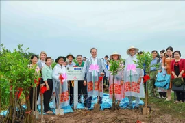 Can Tho planta mil alcornoques para evitar la erosión de las riberas de ríos