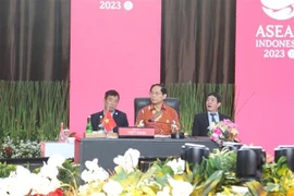 Llama Vietnam a garantizar eficiencia de mecanismos dirigidos por ASEAN