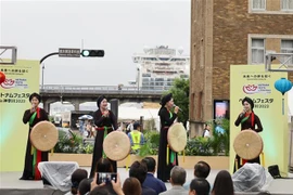 Celebran festival cultural vietnamita en localidad japonesa