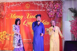 Vietnamitas en Países Bajos celebran fiesta de Tet