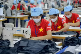 Empresas vietnamitas necesitan adoptar pacto verde europeo