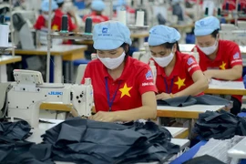 Empresas vietnamitas necesitan adoptar pacto verde europeo