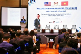 Premier malasio participa en Foro empresarial Vietnam-Malasia 