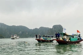 Ciudad de Ha Long se esfuerza por reducir contaminación marina