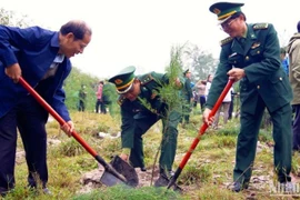 Lanzan en zona fronteriza vietnamita movimiento de siembra de árboles
