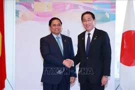 Premier vietnamita se entrevista con su homólogo japonés