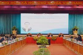 Provincia de Binh Dinh presenta su potencial y ventajas a socios extranjeros