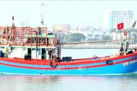 Provincia vietnamita de Quang Binh se esfuerza por luchar contra la pesca ilegal