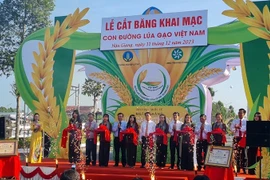 Inauguran exposición Ruta del arroz de Vietnam