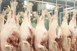 Laos suspende importaciones de carne de cerdo de Vietnam