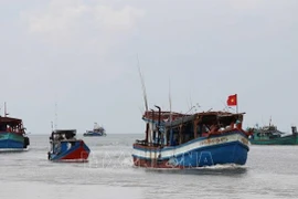 Inspeccionan avance de combate contra IUU en localidad vietnamita