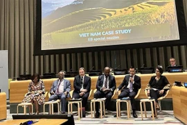 Reiteran consideración al PNUD como socio importante de Vietnam