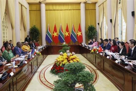 Vietnam aprecia amistad tradicional con Sudáfrica, afirma vicepresidenta