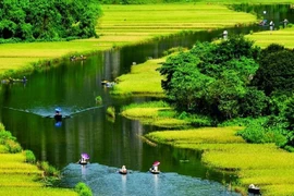 Promueven agroturismo en localidades del delta del río Rojo 