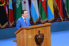  Aboga Vietnam por cooperación del Sur para el desarrollo