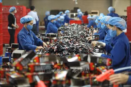 Proponen soluciones para apoyar a empresas vietnamitas a superar dificultades