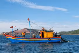 Provincia vietnamita de Nghe An controla estrictamente actividades de pesca ilegal