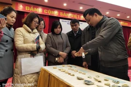 Anuncian nuevos hallazgos arqueológicos en provincia vietnamita