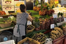 Comercio entre países del Mekong y China supera 416 mil millones de USD