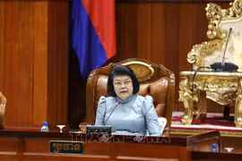 Fortalecen solidaridad y amistad tradicional Vietnam-Camboya