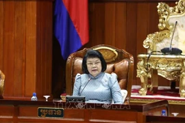 Fortalecen solidaridad y amistad tradicional Vietnam-Camboya