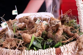 Festival Kon Tum – Ginseng Ngoc Linh se celebrará cada dos años