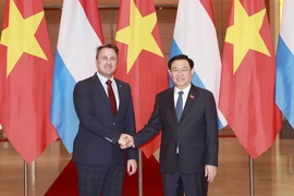 Luxemburgo dispuesto a compartir experiencias de transformación digital con Vietnam